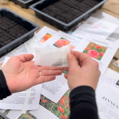 We’re Opening Our Farm to You: Join Us for Our First Open Day!